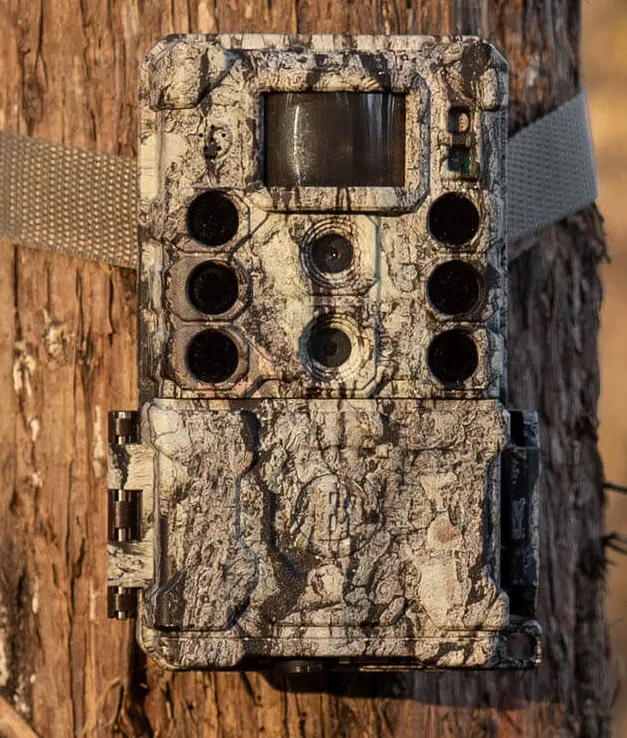 Bushnell Core DS-4K 32 MP Trail Camera