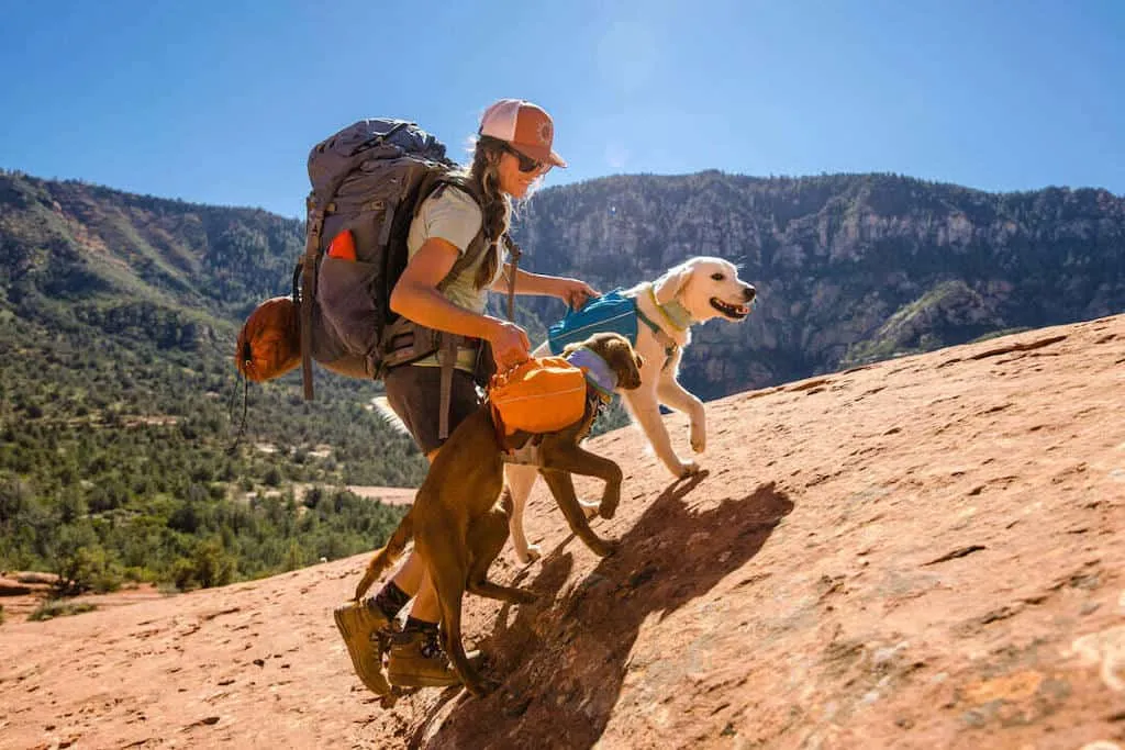 SALE! Approach Dog Backpack - Day Hiking & Overnight Adventures