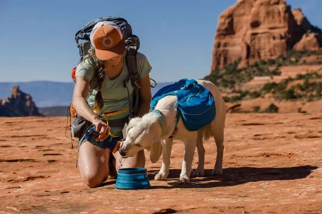 SALE! Approach Dog Backpack - Day Hiking & Overnight Adventures