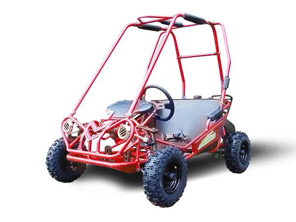 TRAILMASTER MINI XRS  - KIDS SIZE GO KART, Bench Seat, Pull Start , Roll Cage, Lap Belts, NO Reverse