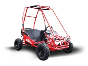 TRAILMASTER MINI XRS  - KIDS SIZE GO KART, Bench Seat, Pull Start , Roll Cage, Lap Belts, NO Reverse